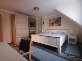 2 Zimmer Apartment mit Küche und Bad